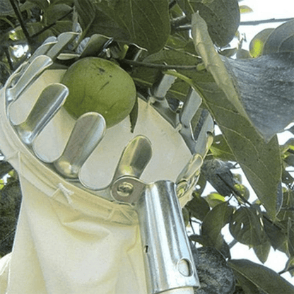 Fruit Picker & Catch