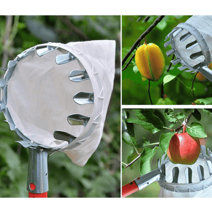 Fruit Picker & Catch