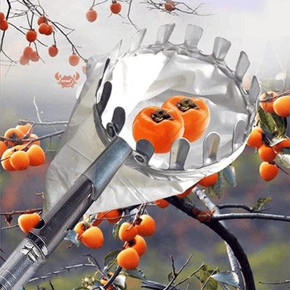 Fruit Picker & Catch