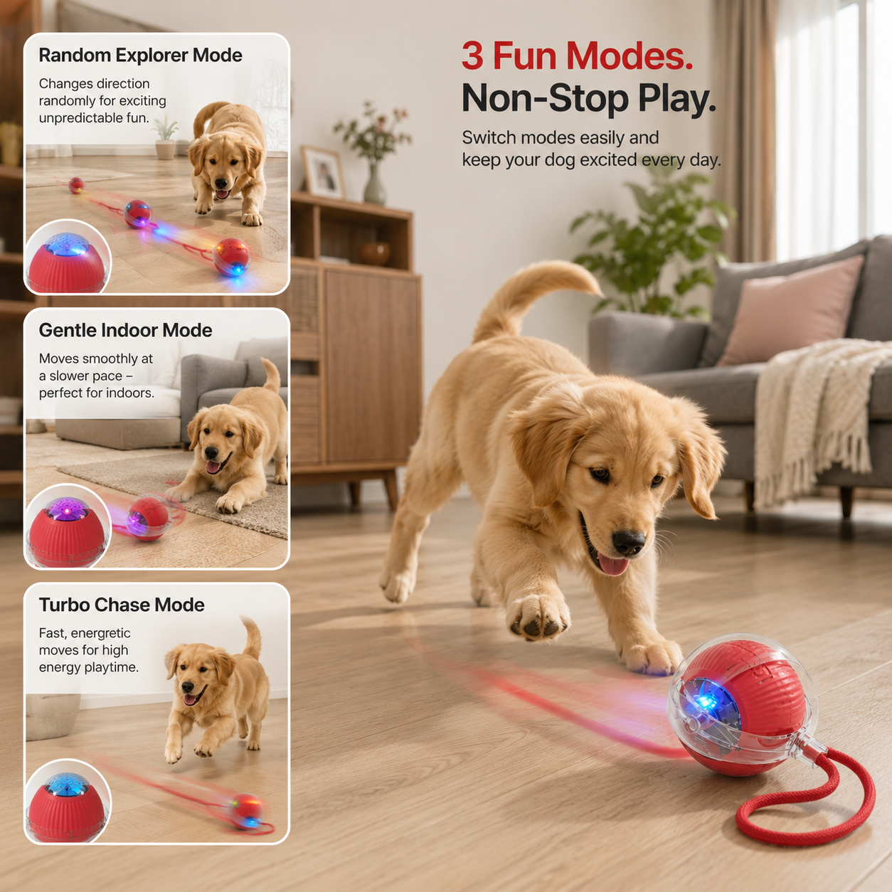 PawChase™ – Interactive Self-Moving Chase Ball