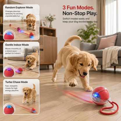 PawChase™ – Interactive Self-Moving Chase Ball
