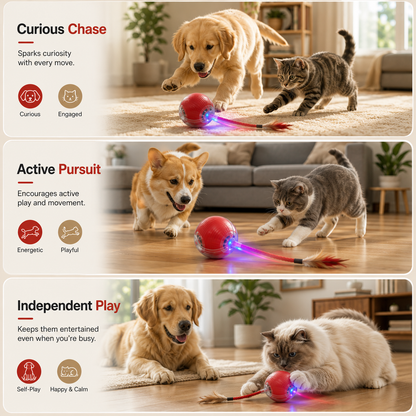 PawChase™ – Interactive Self-Moving Chase Ball