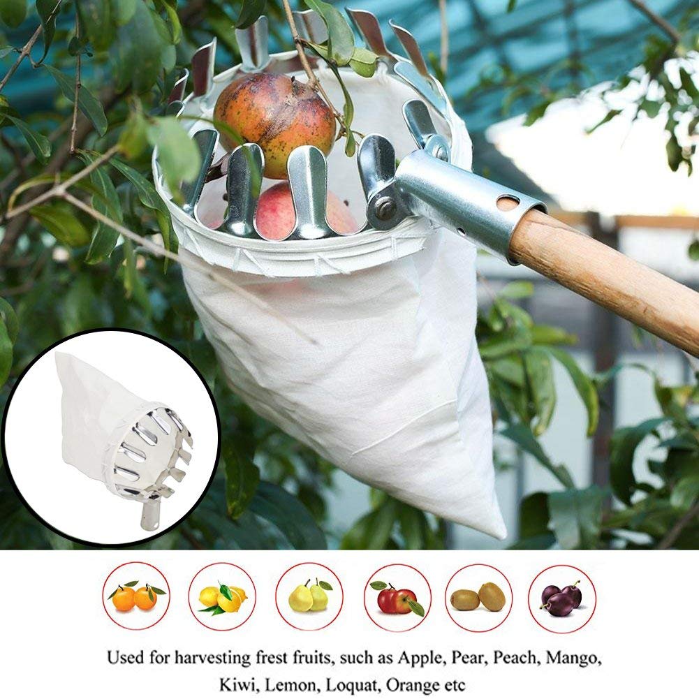 Fruit Picker & Catch