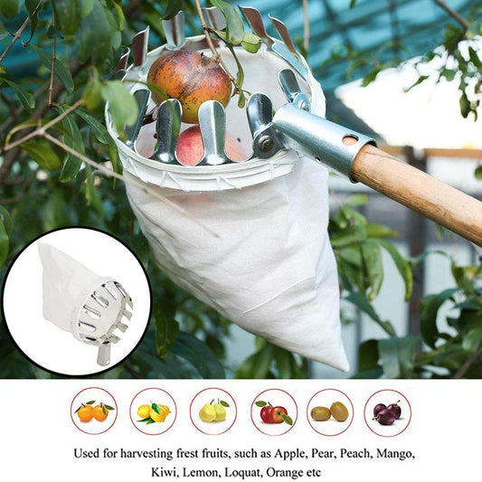Fruit Picker & Catch