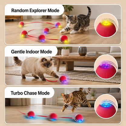 PawChase™ – Interactive Self-Moving Chase Ball