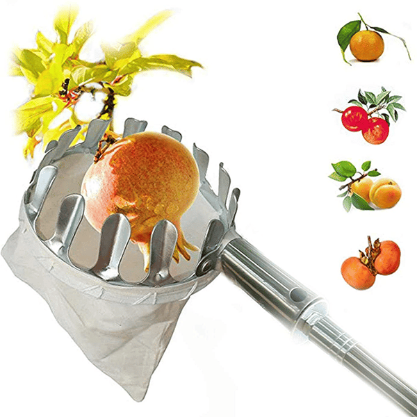 Fruit Picker & Catch