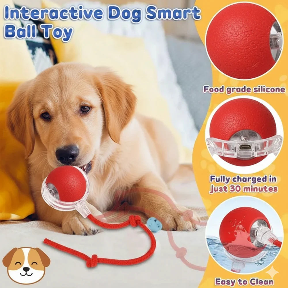 PetSphere™ Interactive Pet Motion Ball 🐶🐱