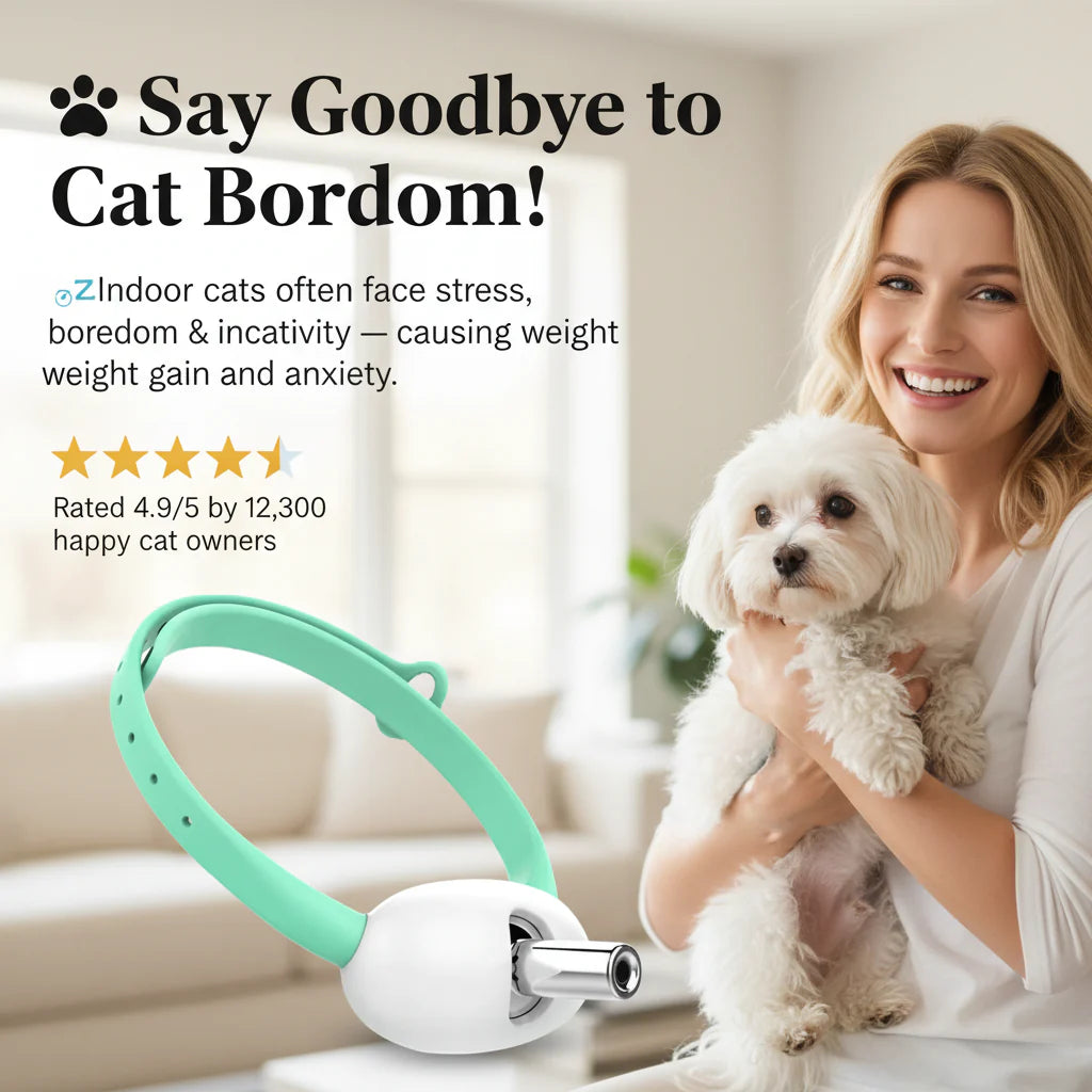 KittyChase™ - Laser Collar Pet Toy