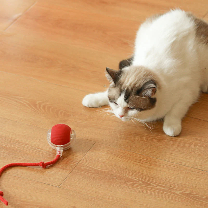 PetSphere™ Interactive Pet Motion Ball 🐶🐱