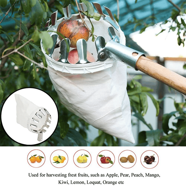 Fruit Picker & Catch