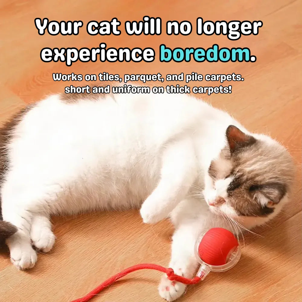 PetSphere™ Interactive Pet Motion Ball 🐶🐱