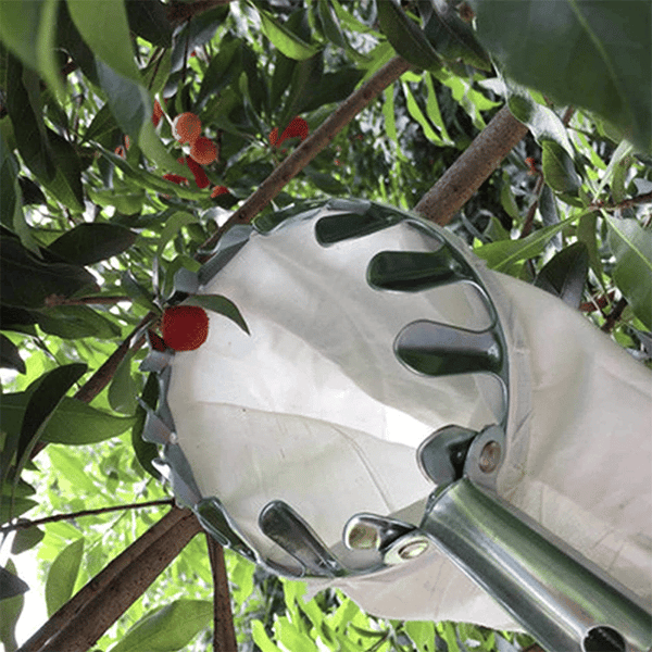 Fruit Picker & Catch