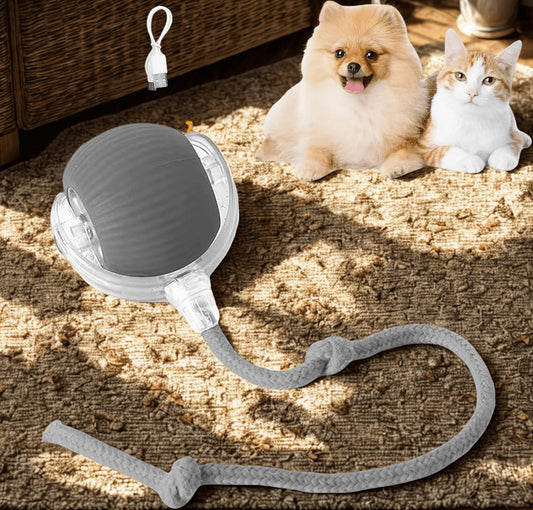 PetSphere™ Interactive Pet Motion Ball 🐶🐱